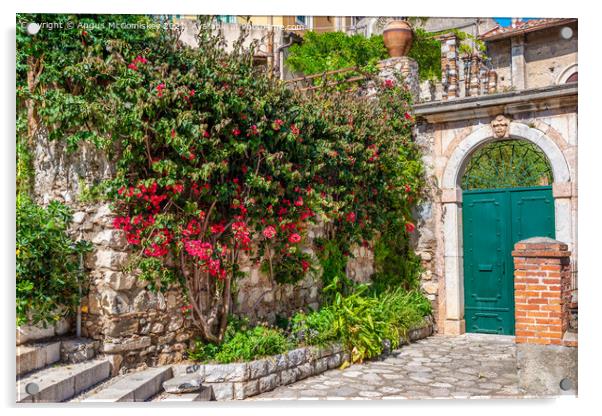 Bougainvillea doorway, Taormina, Sicily Acrylic by Angus McComiskey