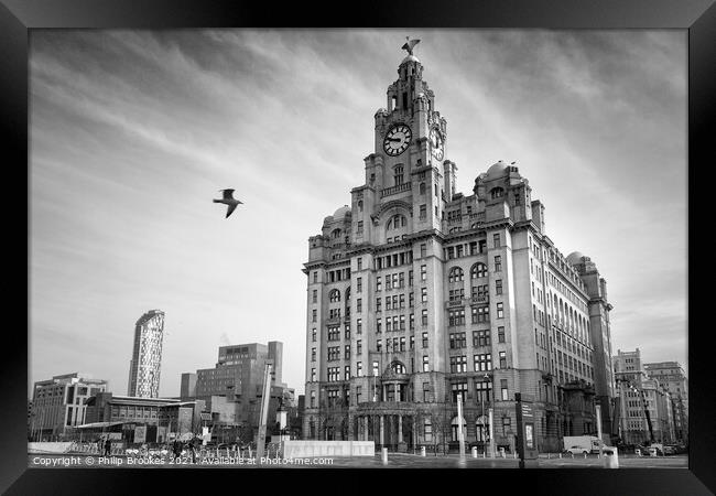 Liver Building Framed Print by Philip Brookes