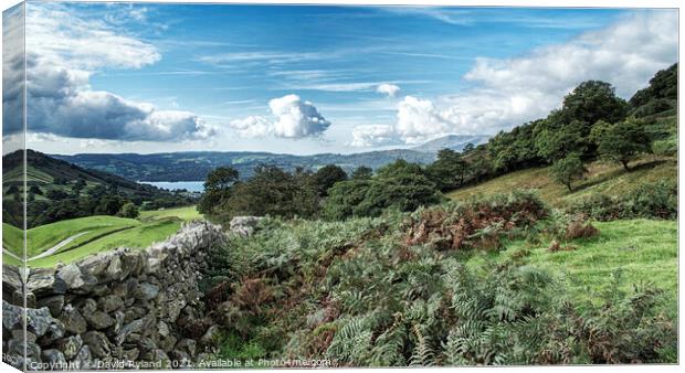 WINDERMERE FROM KIRKSTONE PASS Canvas Print by David Ryland