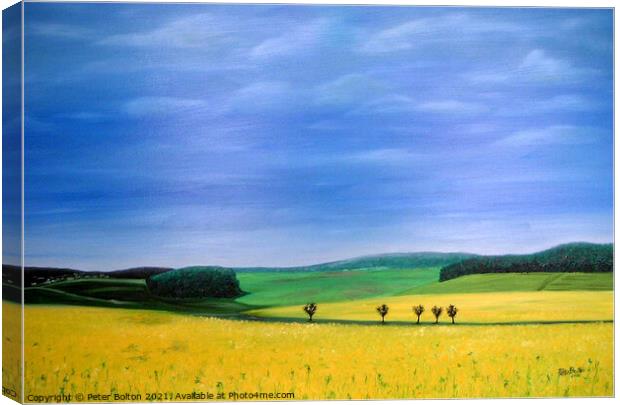 Fields of gold. Abstract view, oil painting by Peter Bolton, 2005. Canvas Print by Peter Bolton