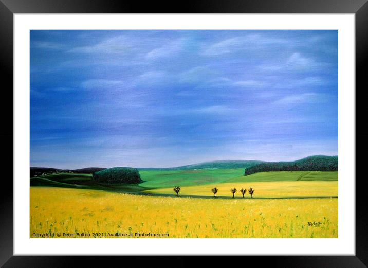 Fields of gold. Abstract view, oil painting by Peter Bolton, 2005. Framed Mounted Print by Peter Bolton