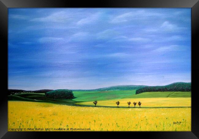 Fields of gold. Abstract view, oil painting by Peter Bolton, 2005. Framed Print by Peter Bolton