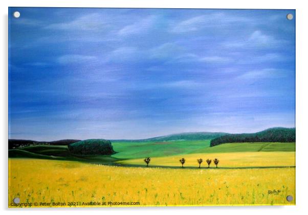 Fields of gold. Abstract view, oil painting by Peter Bolton, 2005. Acrylic by Peter Bolton