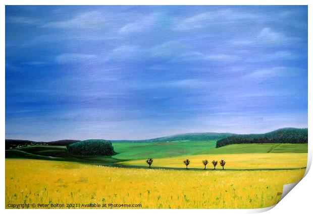 Fields of gold. Abstract view, oil painting by Peter Bolton, 2005. Print by Peter Bolton