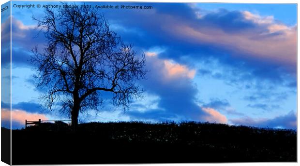 Early evening sky Canvas Print by Anthony Hedger
