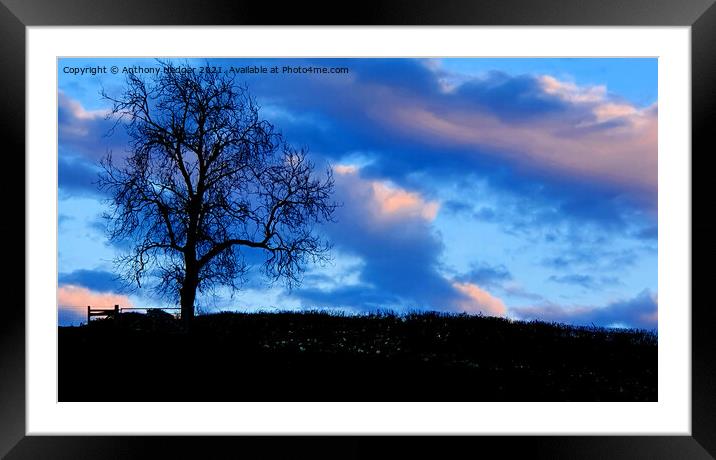 Early evening sky Framed Mounted Print by Anthony Hedger