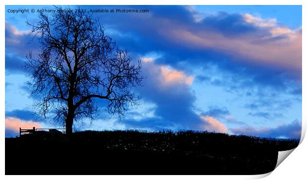 Early evening sky Print by Anthony Hedger