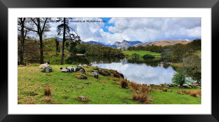  Loughrigg Tarn Framed Mounted Print by Anthony Hedger