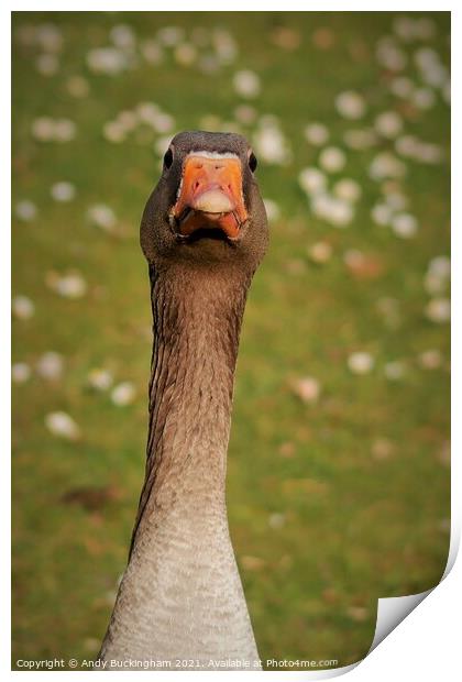 Goose Print by Andy Buckingham