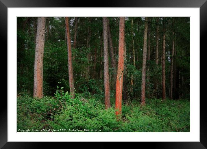 Trees Framed Mounted Print by Andy Buckingham
