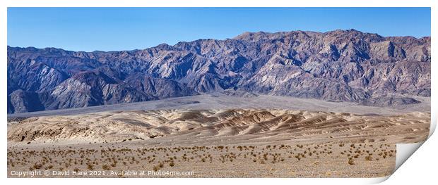 Death Valley Print by David Hare