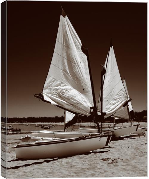 Boats parked on the beach Canvas Print by youri Mahieu