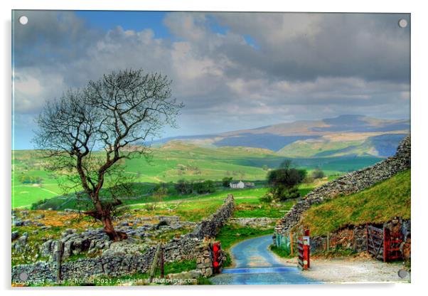 Malham Yorkshire View  Acrylic by Les Schofield