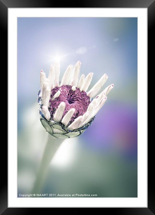 At Dawn Framed Mounted Print by