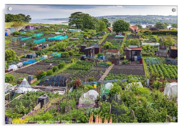 Berwick Community Allotments Acrylic by Jim Monk