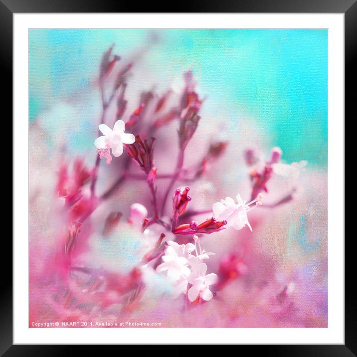 Pinkies Framed Mounted Print by