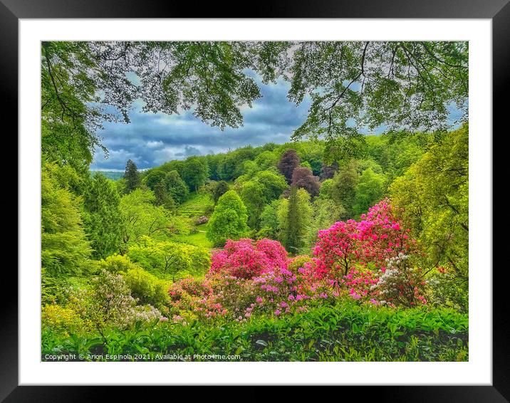 Beautiful English Landscape  Framed Mounted Print by Arion Espinola