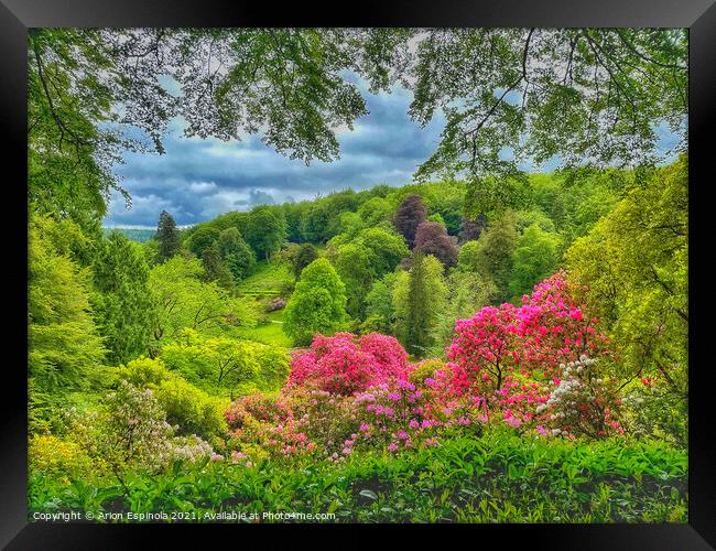 Beautiful English Landscape  Framed Print by Arion Espinola