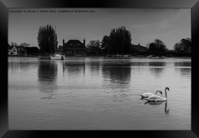 Swans at Bosham Harbour Framed Print by Stuart C Clarke