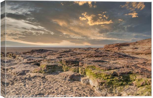 Red Rocks Coastal Reserve Wirral England Canvas Print by Phil Longfoot
