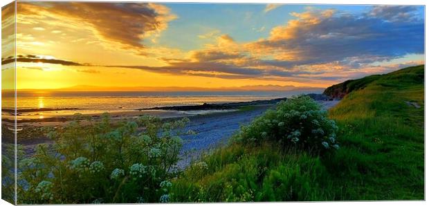 Heysham Beach Sunset Canvas Print by Michele Davis