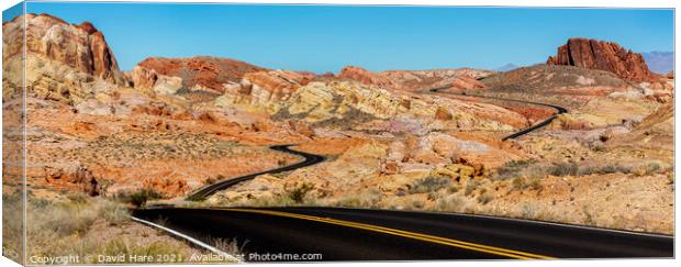 Valley of Fire Highway Canvas Print by David Hare