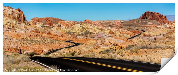 Valley of Fire Highway Print by David Hare