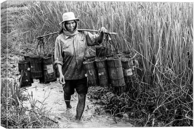 Fisherman on the Mekong Delta, Vietnam Canvas Print by Ian Miller
