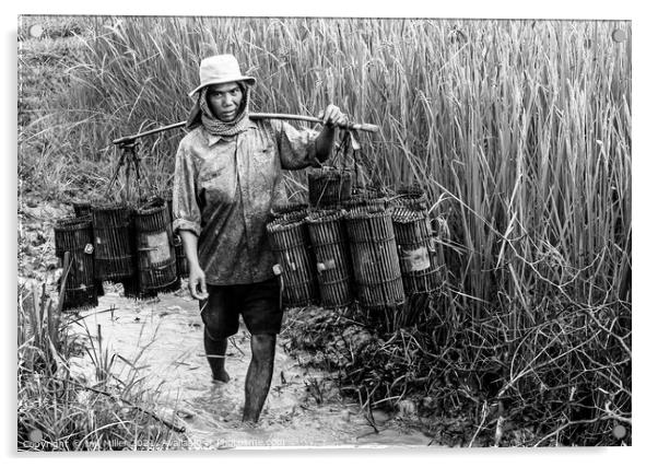 Fisherman on the Mekong Delta, Vietnam Acrylic by Ian Miller
