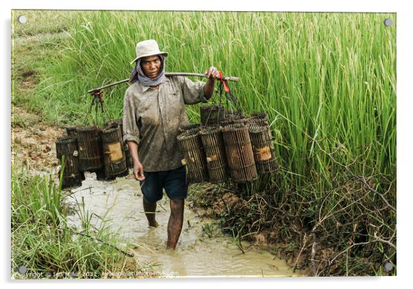 Fisherman on the Mekong Delta, Vietnam Acrylic by Ian Miller