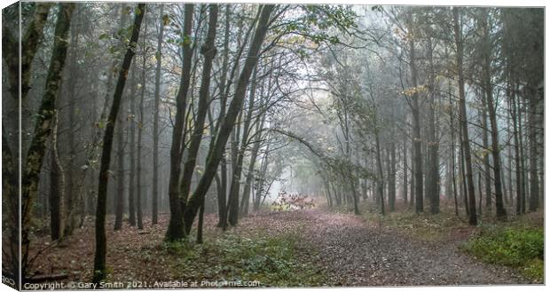 Misty Rain In Hockham Woods Norfolk Canvas Print by GJS Photography Artist