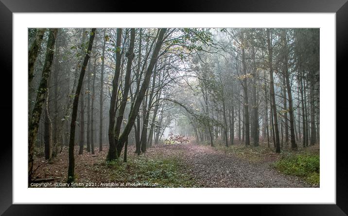 Misty Rain In Hockham Woods Norfolk Framed Mounted Print by GJS Photography Artist