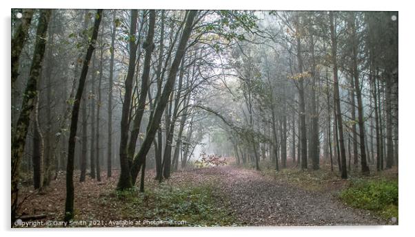 Misty Rain In Hockham Woods Norfolk Acrylic by GJS Photography Artist