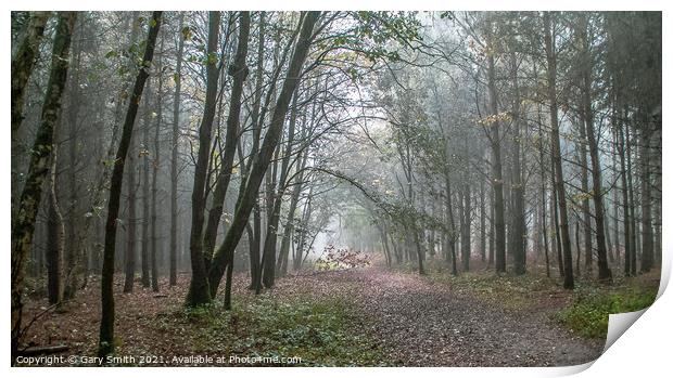 Misty Rain In Hockham Woods Norfolk Print by GJS Photography Artist