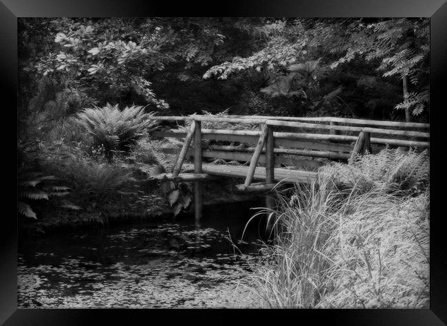 WOODLAND BRIDGE Framed Print by Anthony R Dudley (LRPS)