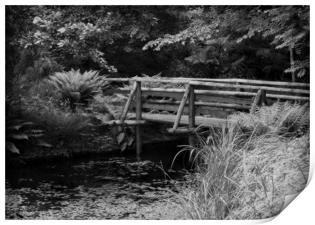 WOODLAND BRIDGE Print by Anthony R Dudley (LRPS)