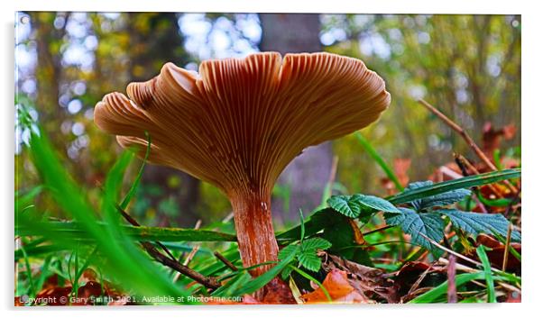 Flat Mushroom Underbelly at Foxley Woods Acrylic by GJS Photography Artist