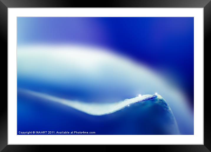Blue Tones Framed Mounted Print by