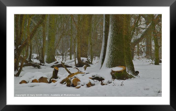Snow in the Woods Framed Mounted Print by GJS Photography Artist
