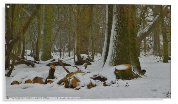 Snow in the Woods Acrylic by GJS Photography Artist