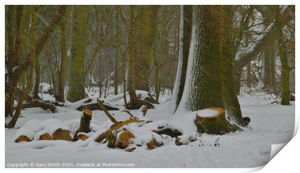 Snow in the Woods Print by GJS Photography Artist