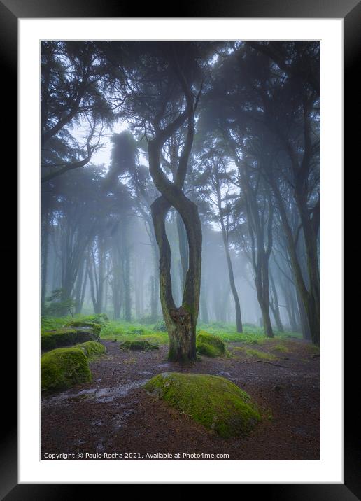 Rainy and foggy forest Framed Mounted Print by Paulo Rocha