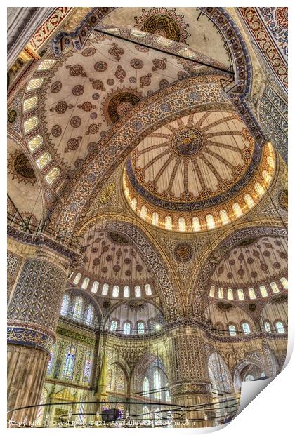 Blue Mosque Architecture Print by David Pyatt