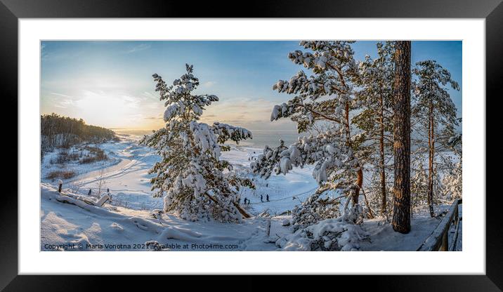 Winter sea coast landscape with covered in snow fir trees Framed Mounted Print by Maria Vonotna