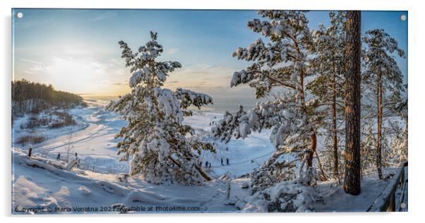 Winter sea coast landscape with covered in snow fir trees Acrylic by Maria Vonotna
