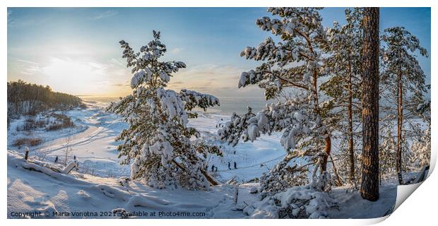 Winter sea coast landscape with covered in snow fir trees Print by Maria Vonotna