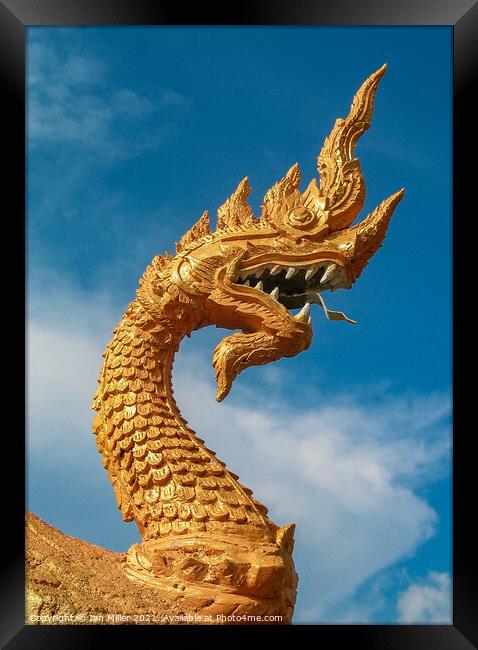 Buddist Dragon in Gold Framed Print by Ian Miller