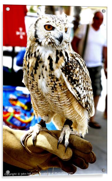 Eagle Owl, Marsaxlokk, Malta. Acrylic by john hill