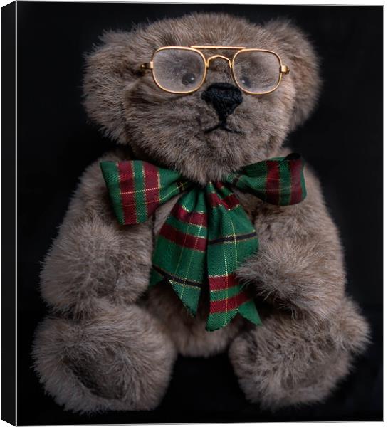 Gorgeous Brown Teddy Bear with gold glasses and a  Canvas Print by Maggie Bajada