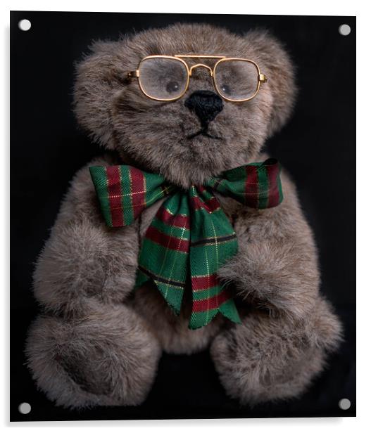 Gorgeous Brown Teddy Bear with gold glasses and a  Acrylic by Maggie Bajada